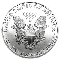Strieborná minca American Silver Eagle 1 oz (2010)