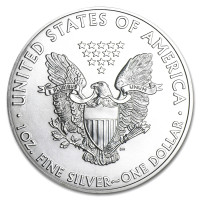 Strieborná minca American Silver Eagle 1 oz (2011)