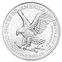 Strieborná minca American Silver Eagle 1 oz (2026)