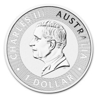 Strieborná minca Australian Kangaroo 1 oz (2024)