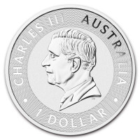 Strieborná minca Australian Kangaroo 1 oz (2026)