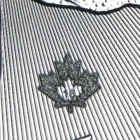 Strieborná minca Canadian Maple Leaf 1 oz (2016)