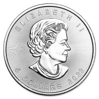 Strieborná minca Canadian Maple Leaf 1 oz (2022)