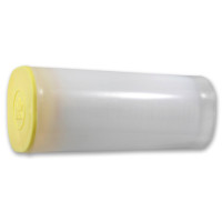 Strieborná minca Canadian Maple Leaf 1 oz (2026)