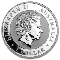 Strieborná minca Koala 1 oz (2013)