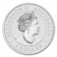 Strieborná minca Koala 1 oz (2022)