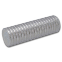 Strieborná minca Kookaburra 1 oz (2026)