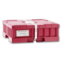 Strieborná minca Wiener Philharmoniker 1 oz (2026)