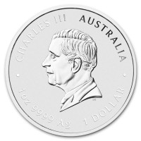 Strieborná minca Year of the Horse - Rok Koňa 1 oz (2026)