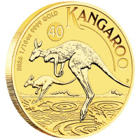 Gold coin Australian Kangaroo 1/10 oz 2026 40th anniversary