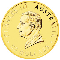 Zlatá minca Australian Kangaroo 1/4 oz 2026 40. výročie