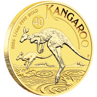 Zlatá minca Australian Kangaroo 1/4 oz 2026 40. výročie