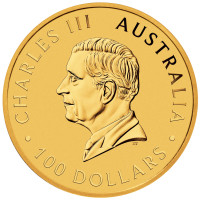 Zlatá minca Australian Kangaroo 1 oz 2026 40. výročie