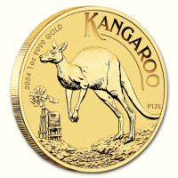 Zlatá minca Australian Kangaroo 1 oz 2024