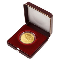 Gold coin ČNB 5.000 Kč Hradec Králové STANDARD 1/2 oz