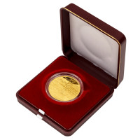 Zlatá minca ČNB 5.000 Kč Plzeň PROOF 1/2 oz