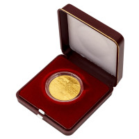 Zlatá minca ČNB 5.000 Kč Plzeň STANDARD 1/2 oz