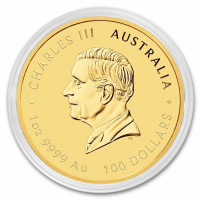 Zlatá minca Year of the Horse - Rok Koně 1 oz (2026)